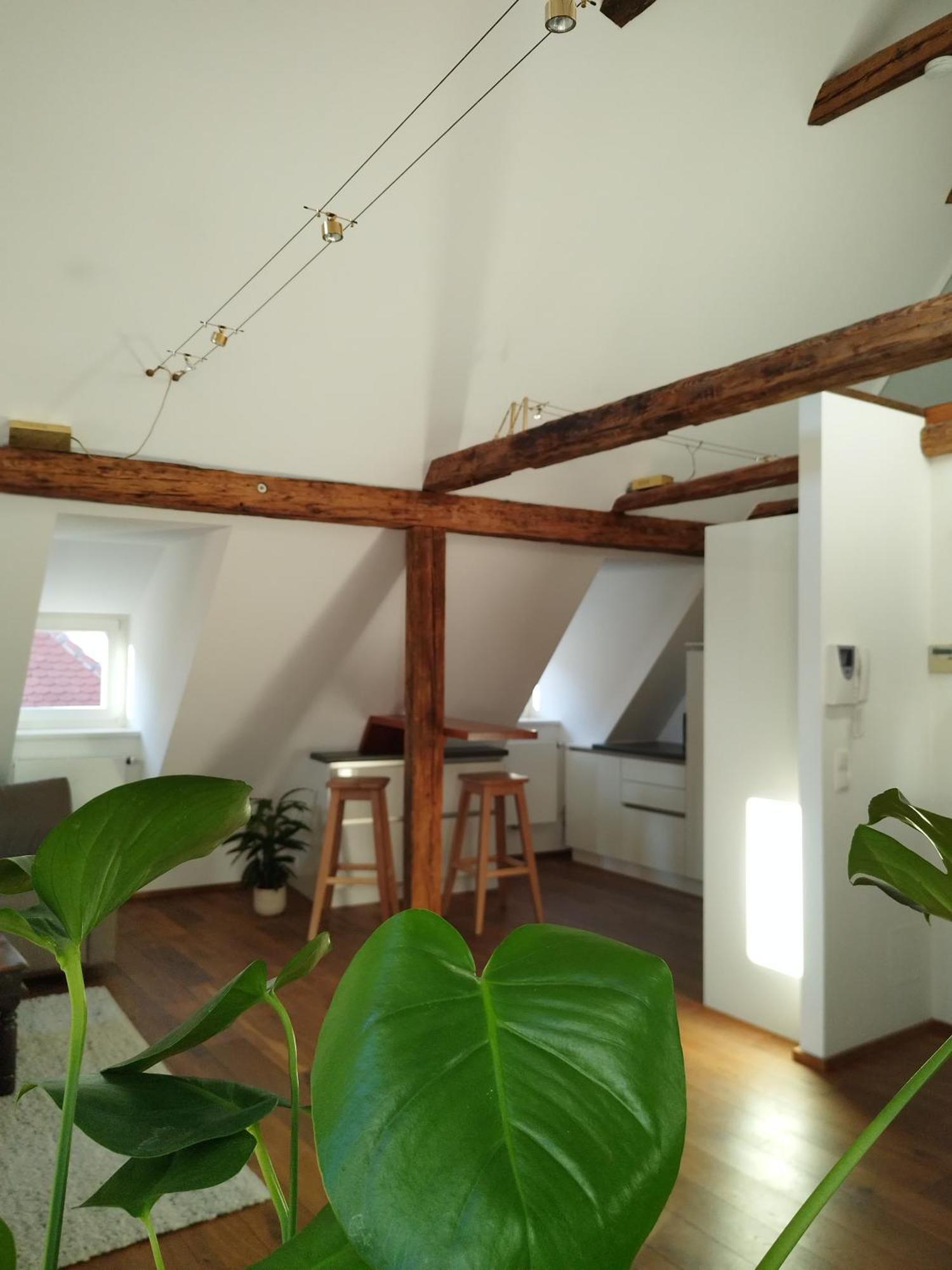 Goldene Pastete - Urban Luxury Apartments Graz Exterior foto